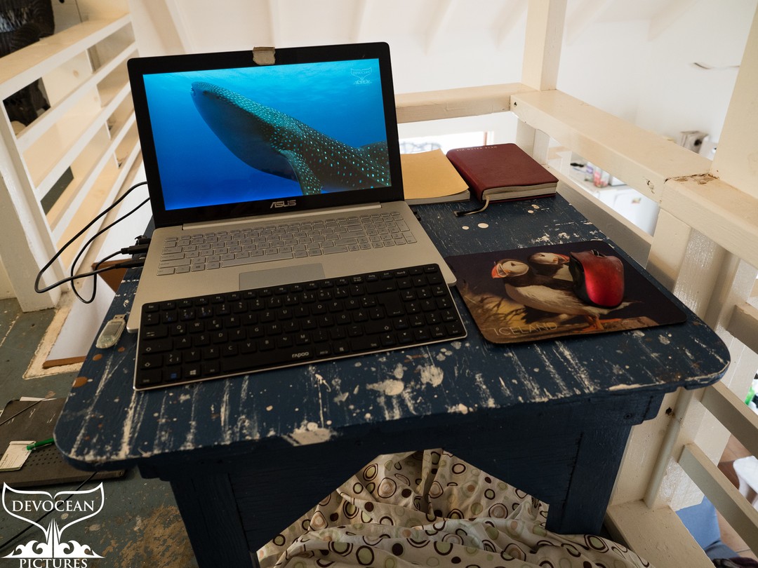 Friday afternoon on Statia and it is time to "Take a Minute to Relax" at my desk. Yoeri's video series of underwater clips always helps me to calm down and focus on what there still is to do afterwards (link in bio).

The to-do lists are nicely tugged into the folder on the floor. Some points are also in my calendar "Ein guter Plan" or the little notebook "Eine gute Idee". I love the business and products of @einguterplan - they work as my offline blog.

There is a bit of creative chaos next to me on the floor. Other than that, I try to keep my workspace tidy. Let's face it, it is not a huge table to start off with. Usually, I have a cup (or bottle) of tea standing next to me.

In the beginning, I was super enthusiastic about sitting outside on our beautiful veranda, writing while overlooking our land and the ocean. Unfortunately, even under the roof, it is way too bright most of the day. Reading and writing are sometimes still possible, but working on pictures is out of the question. 

Also, there are so many little visitors coming by to distract me. Therefore I created my little safe heaven upon our guest room floor.

Welcome to my happy place! 

#devocean #devotion #eustatius #statia #blog #writing #filming #underwaterfilming #underwatervideo #videoseries 
#boomboomblog2022 #Whereiwork #Officeoftheday
#caribbean #karibik #inselleben #islandlife #tauchen #duiken #diving #whaleshark #walhai 
#happyplace